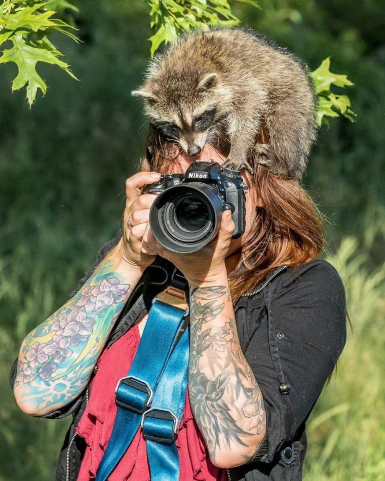 Смешной фотограф