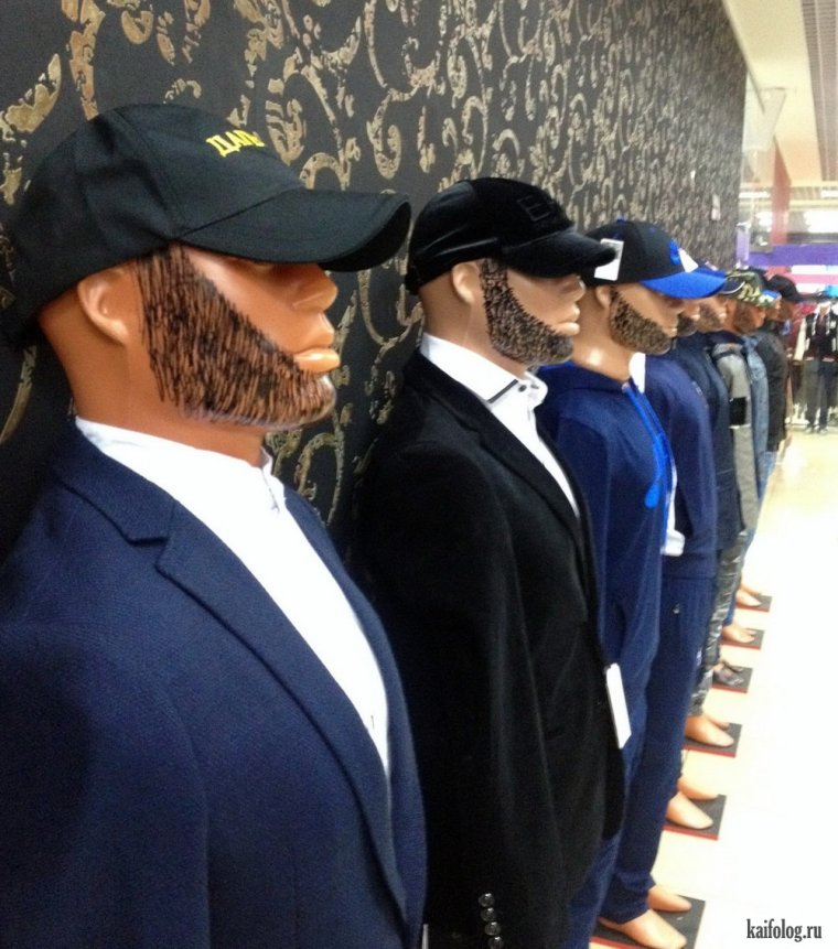 Кавказ демотиваторы