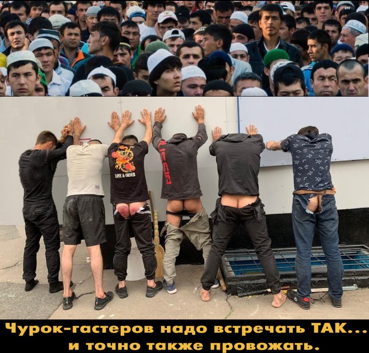 Мемы про кавказцев