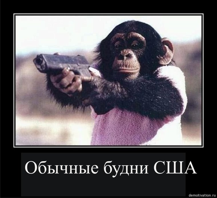 Обезьяна с пистолетом