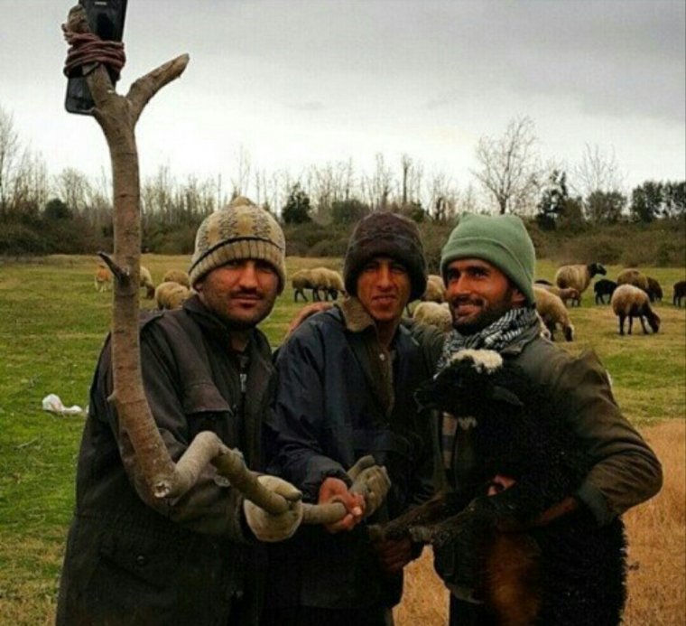 Селфи прикол