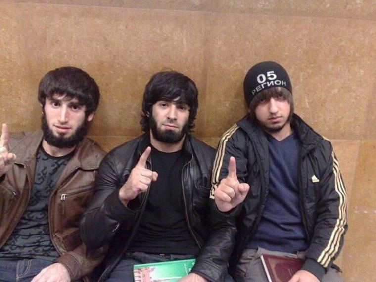 Мохнатая Кавказская шапка