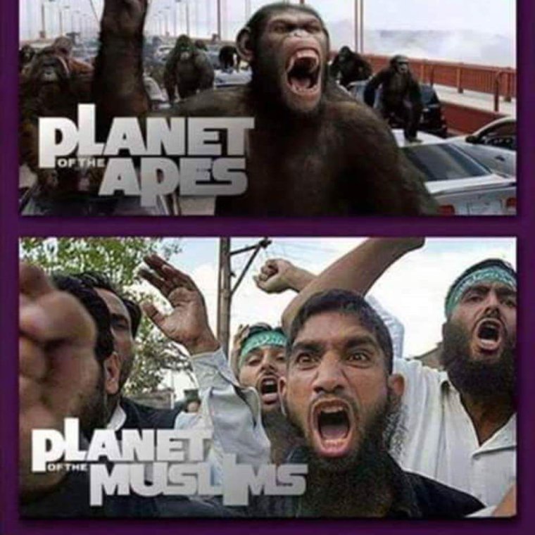 Чеченцы обезьяны