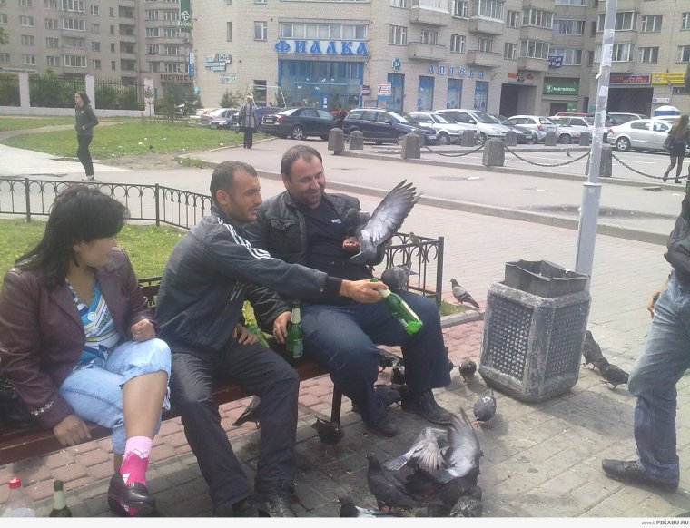 В Дагестане родился баран с человеческим лицом