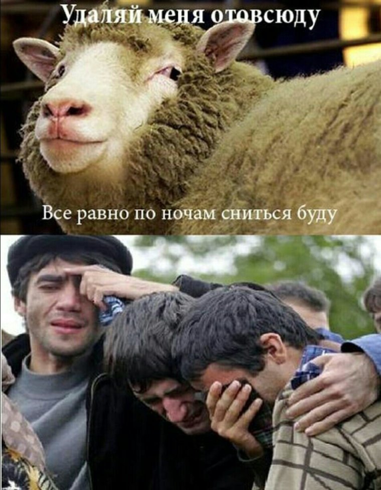 Удаляй меня отовсюду всё равно по ночам сниться буду