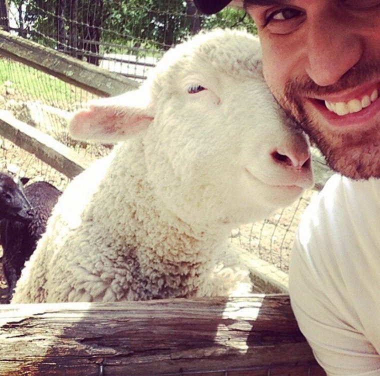 Селфи с бараном