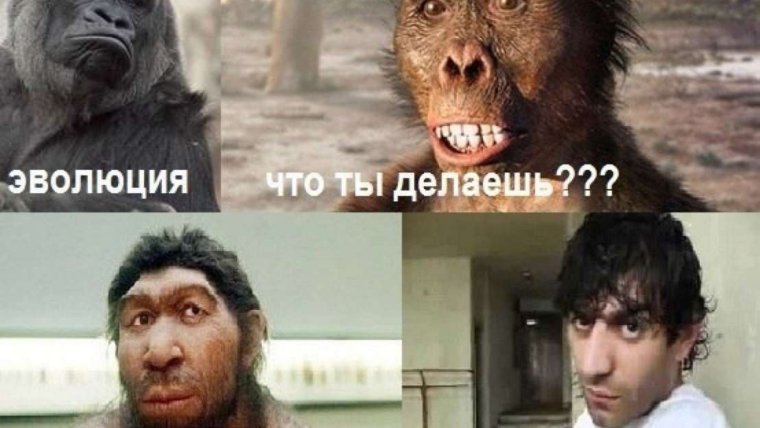 Гарри Поттер и принц монобровка