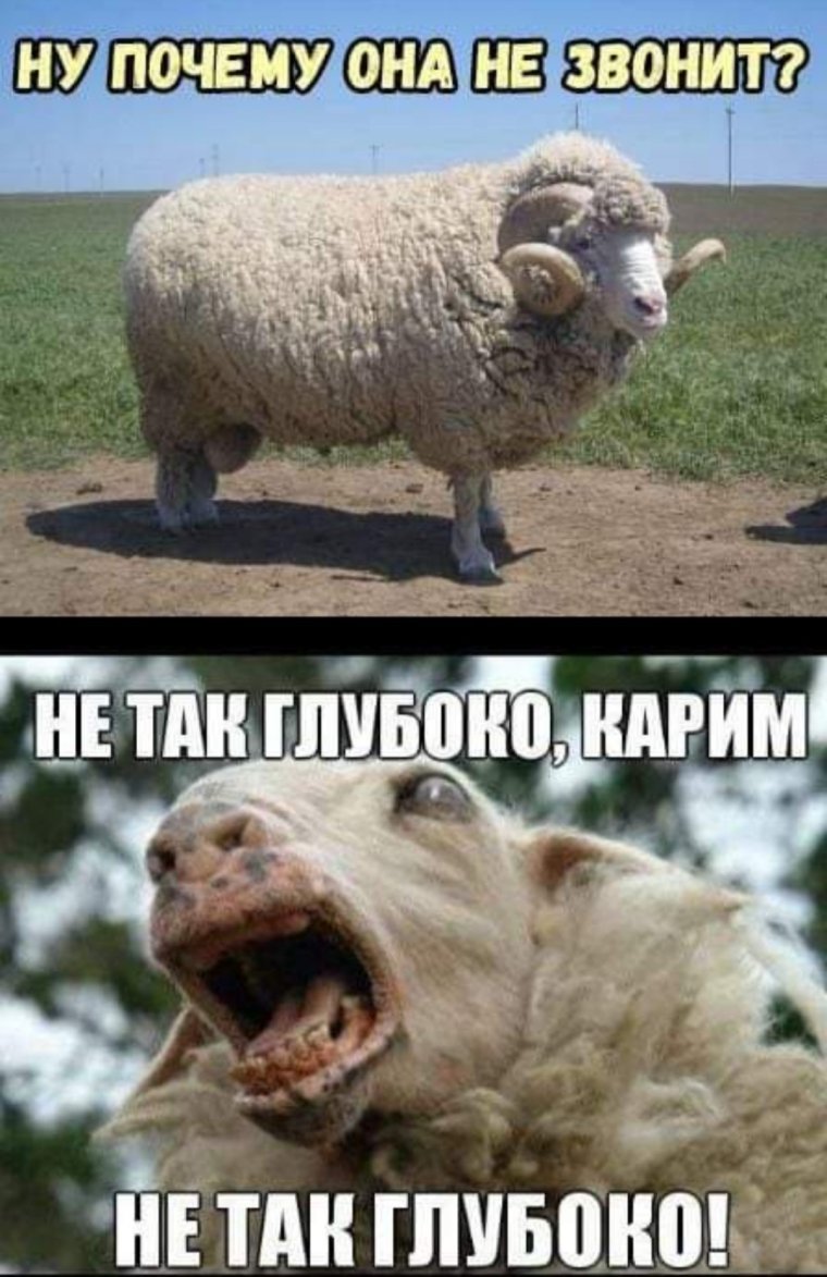 Баран Мем