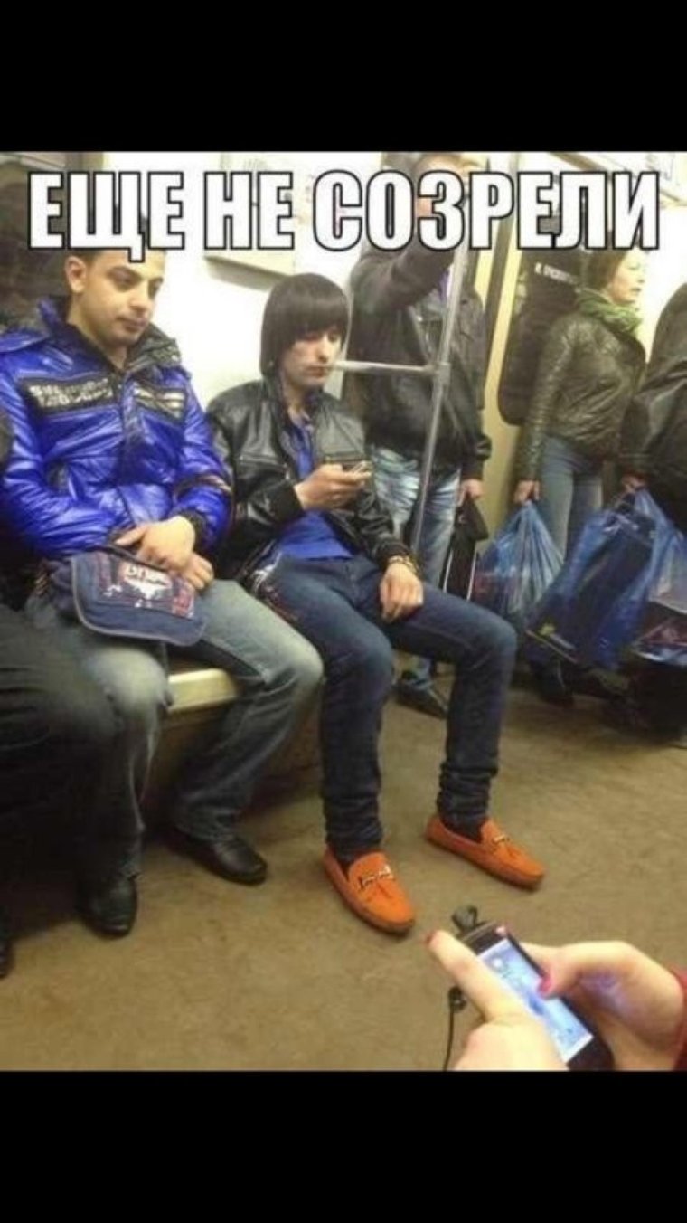 Суета кавказец