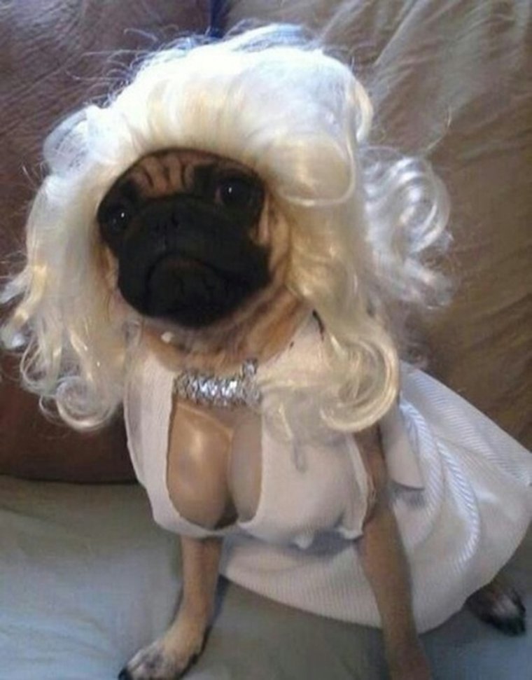 Необычные лифчики на девушке