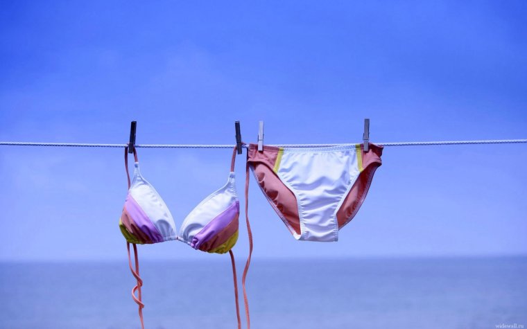 Собака в лифчике