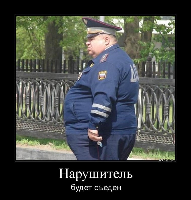 Жирный полицейский