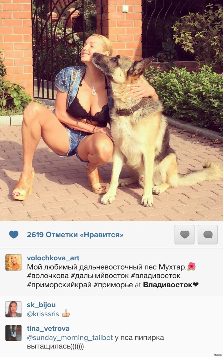 Смешные подписи к фото