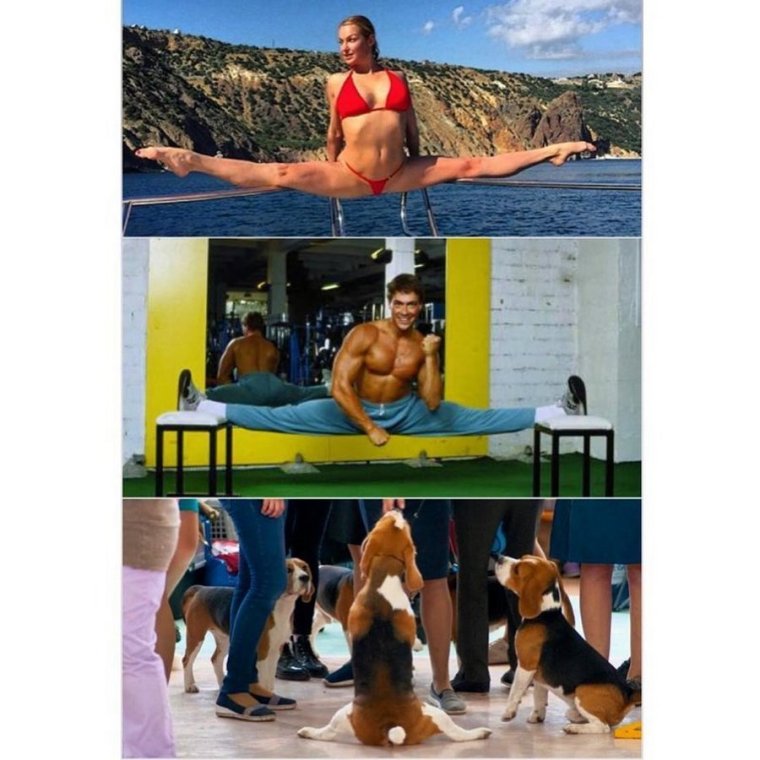 Волочкова приколы