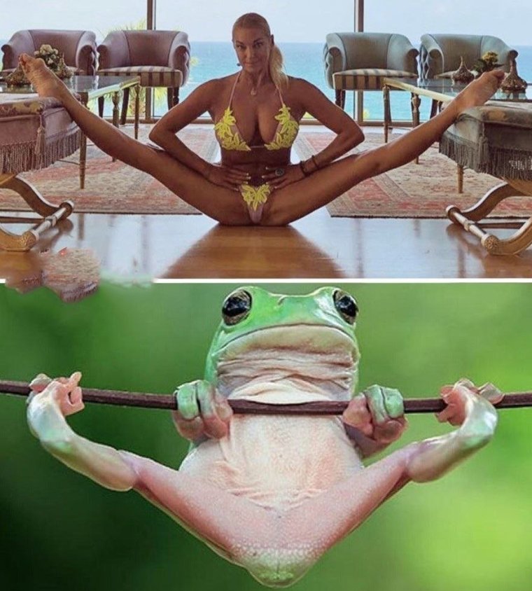 Анастасия Волочкова мемы