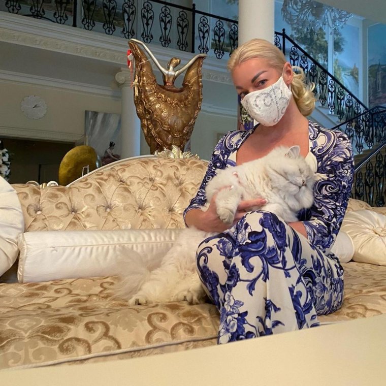 Волочкова 2020