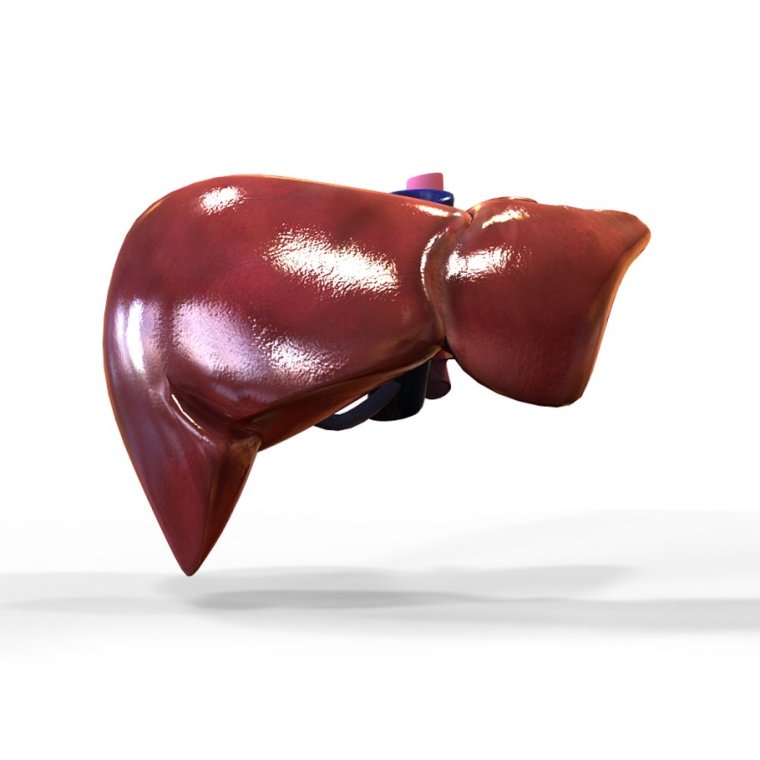 Консерва печень мента