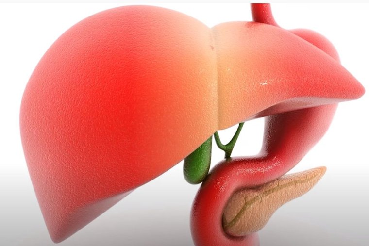 Здоровый и нездоровый образ жизни