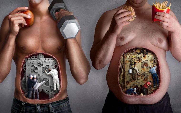 Токсины рисунок