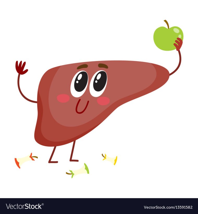 Берегите печень приколы