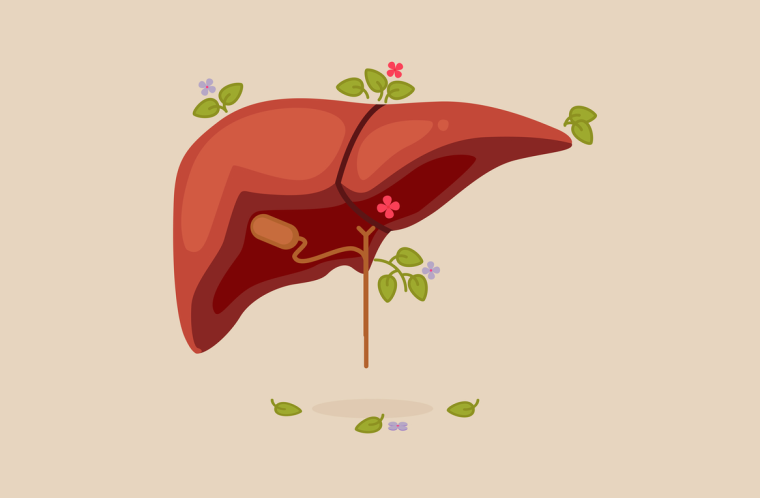 Радостная печень