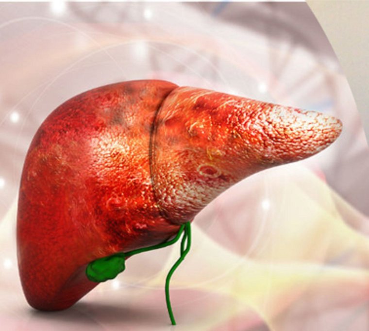 Счастливая печень