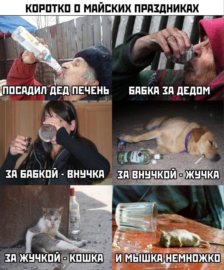 Печень прикол