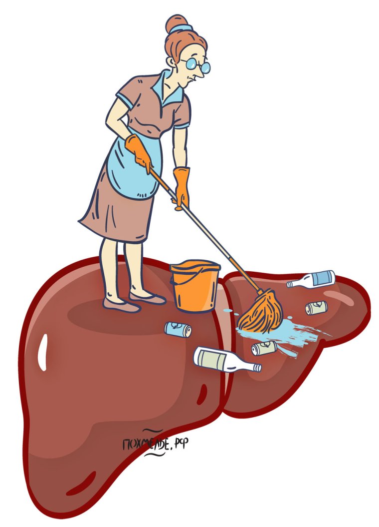 Сидеть в печенках картинка