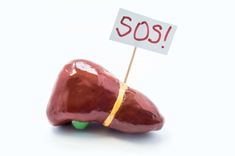 Здоровая печень мультяшная