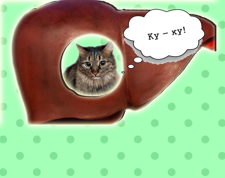 Печеньки во рту фото смешные