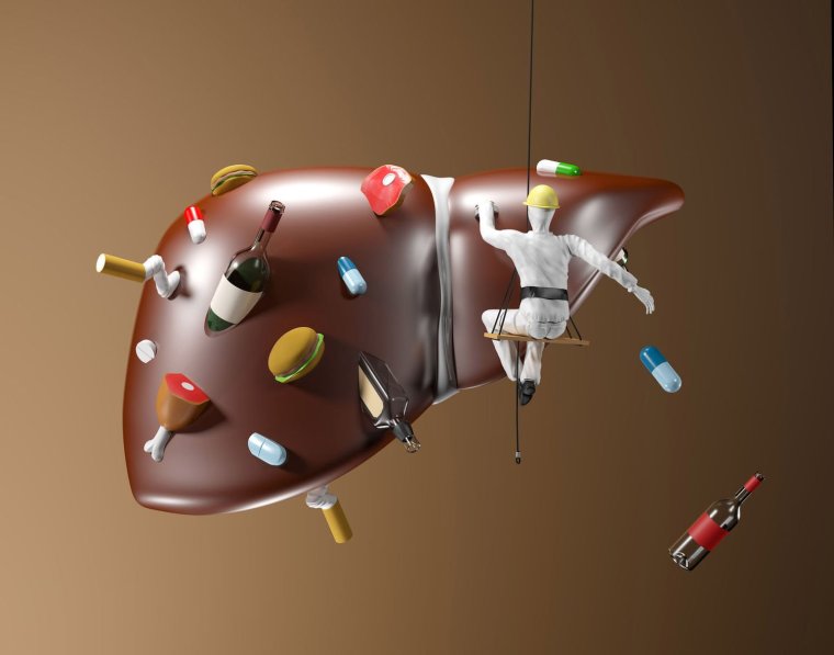 Защита печени