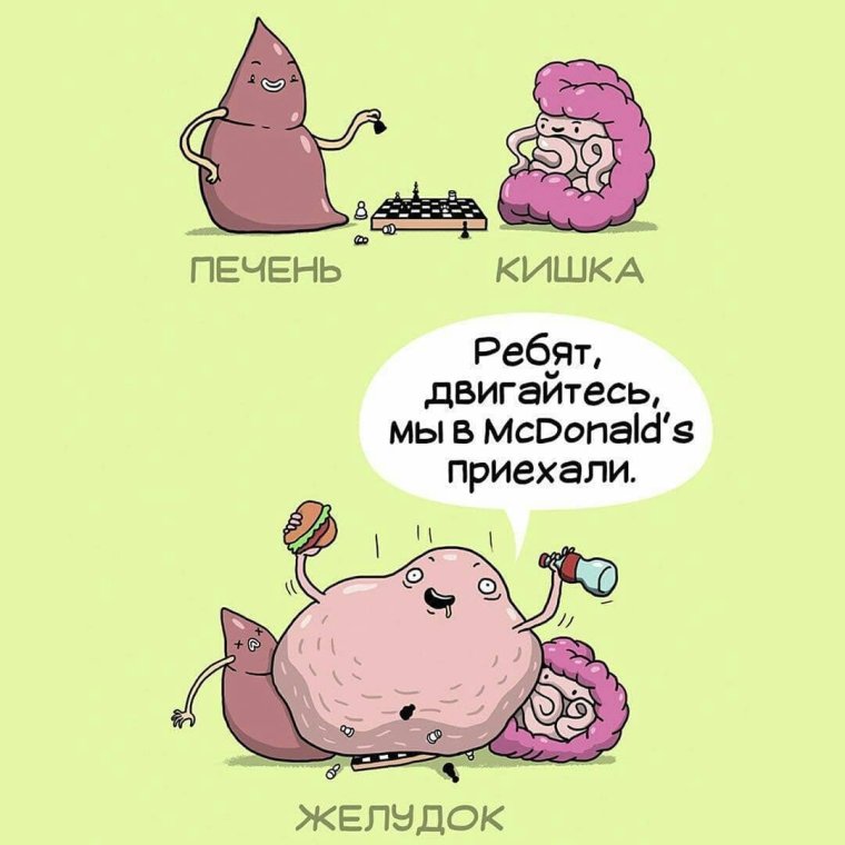 Шутки про органы