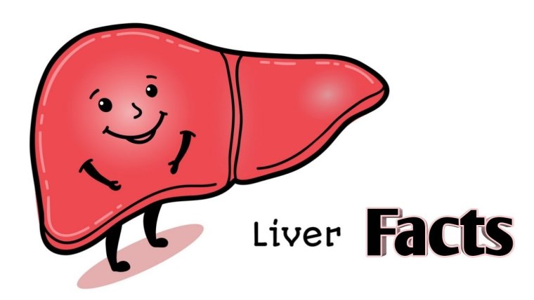 Внутренние органы шутка