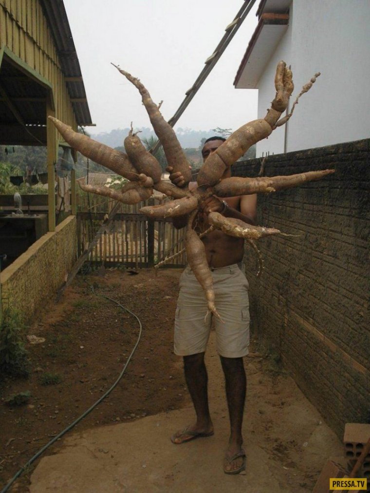 Смешная хрень