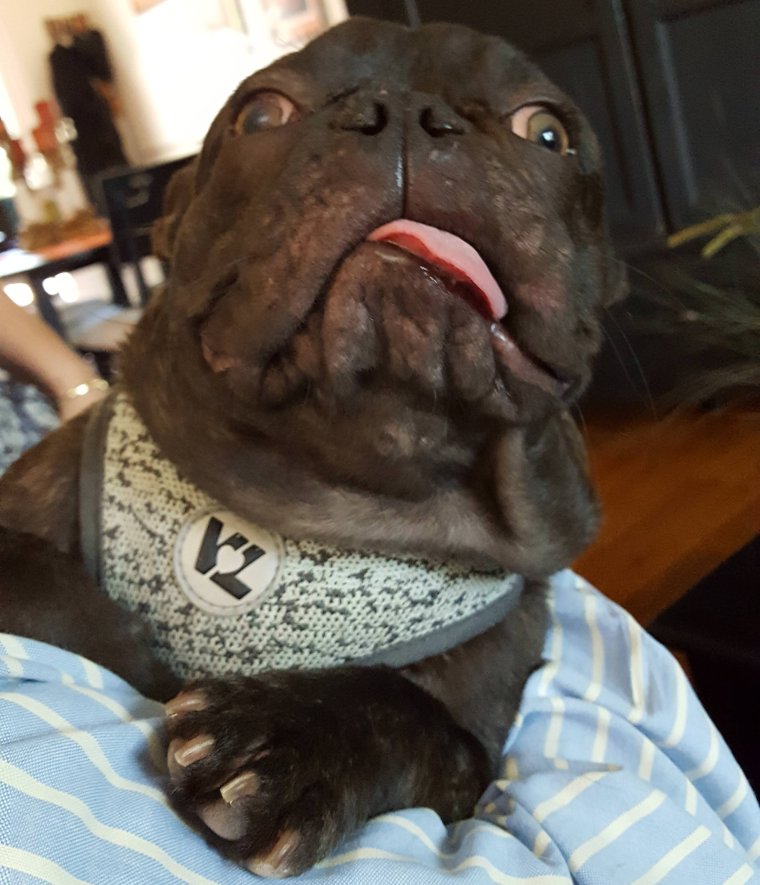 Топ РЖАЧНЫХ картинок