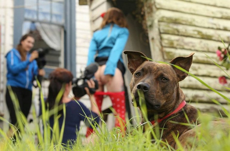 Что тут происходит фото