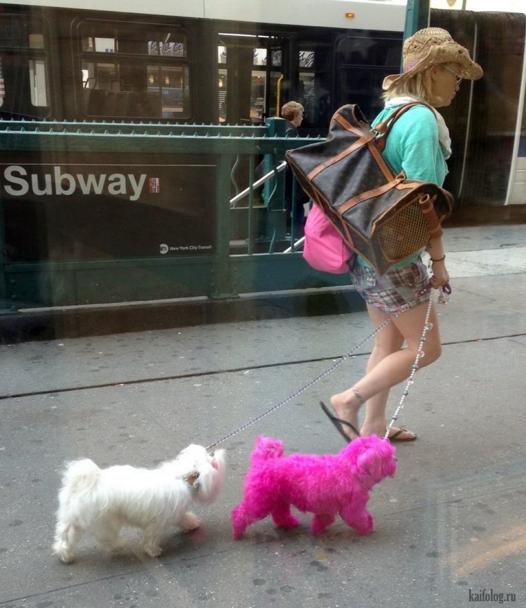 Смешные люди для поднятия настроения