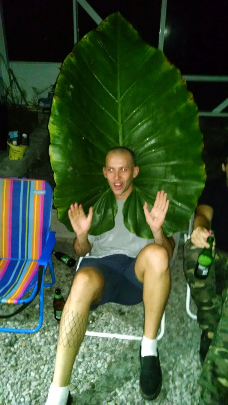 Угарные темы