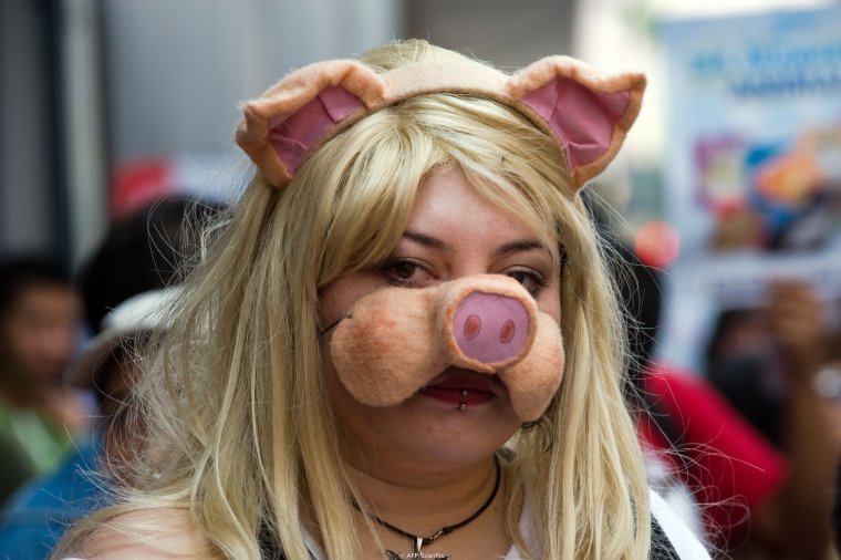 Гигантский трубач моллюск