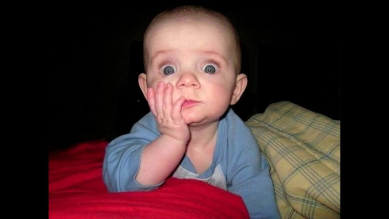 Весёлый щенок дратути