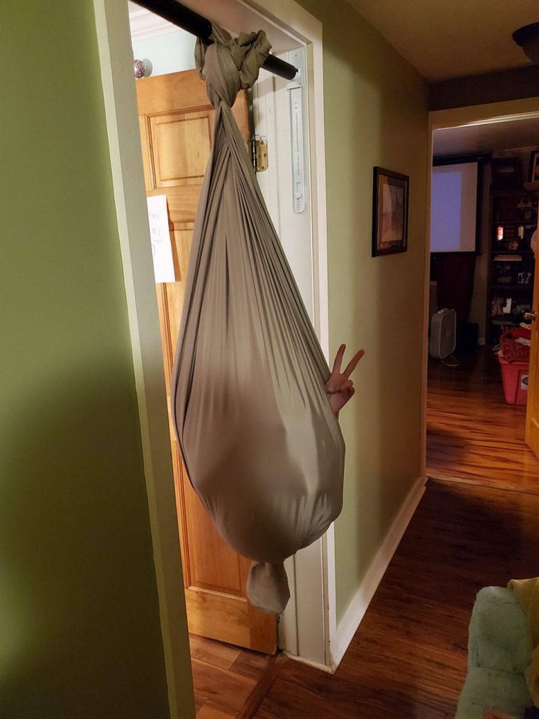 Мопс хот дог