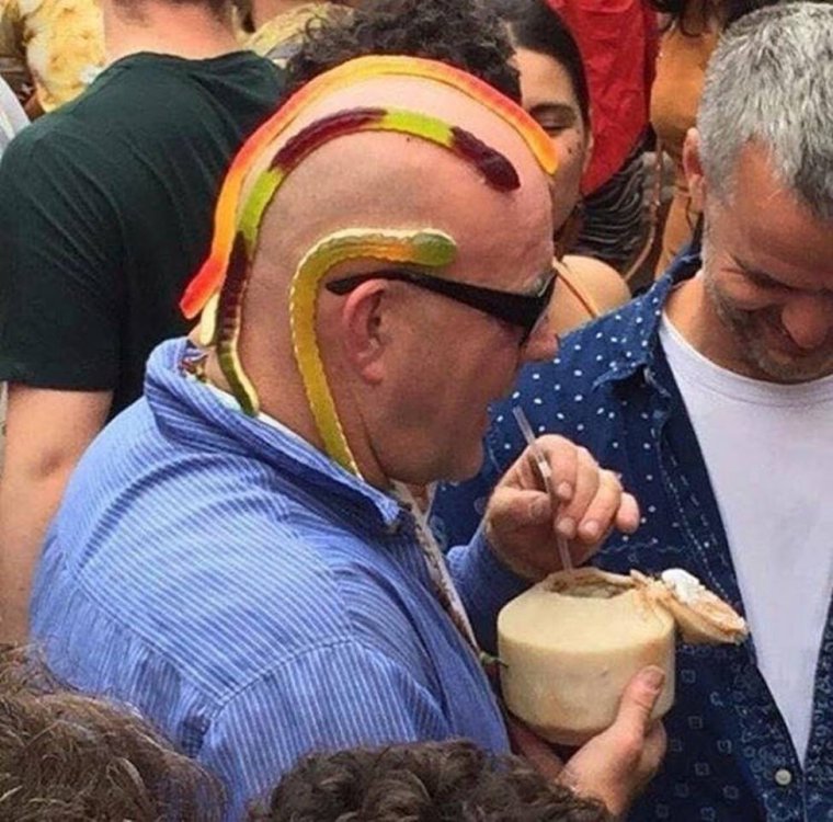 Смешные моменты животных