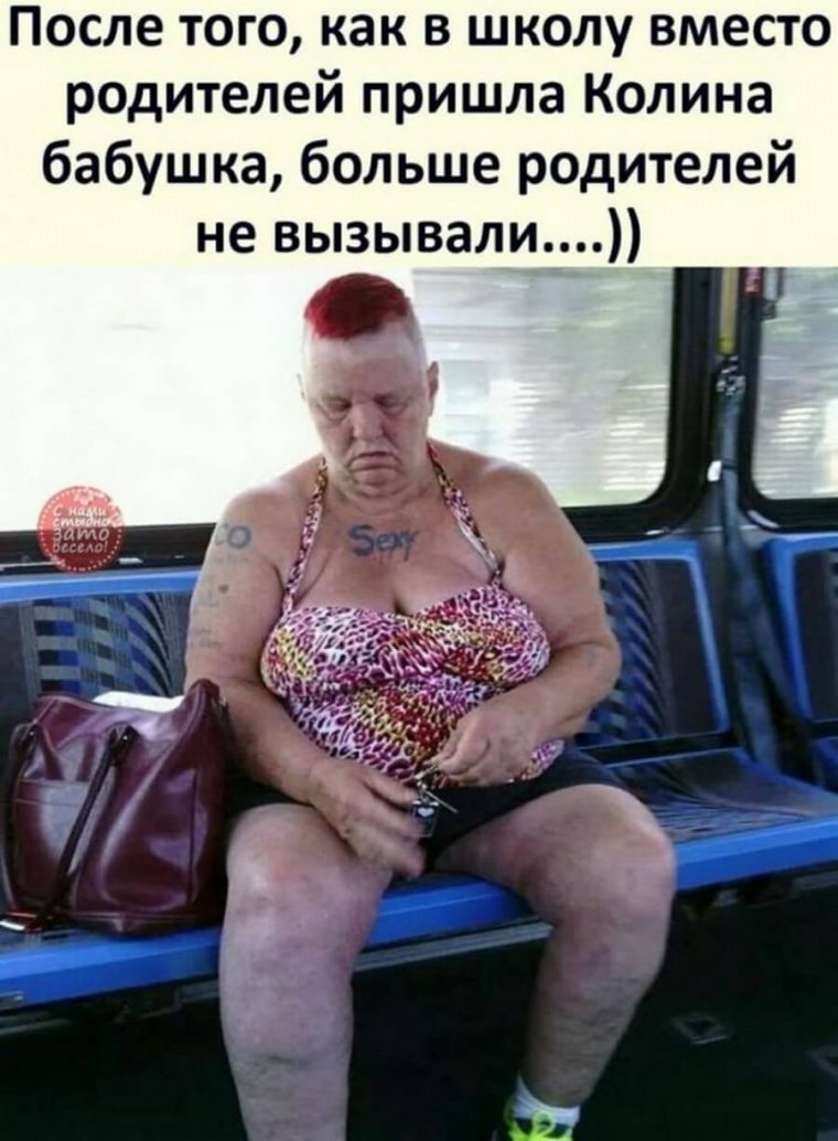 Поросенок в люльке мотоцикла