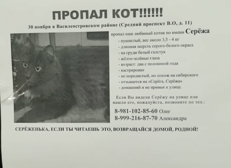 Серёжа молодец КВН