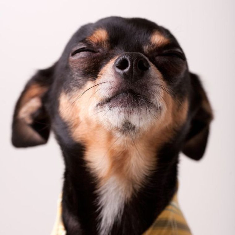 Мэри Энн Беван