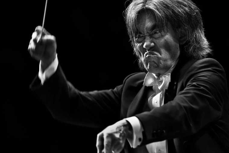 Владимир Вяткин дирижеры