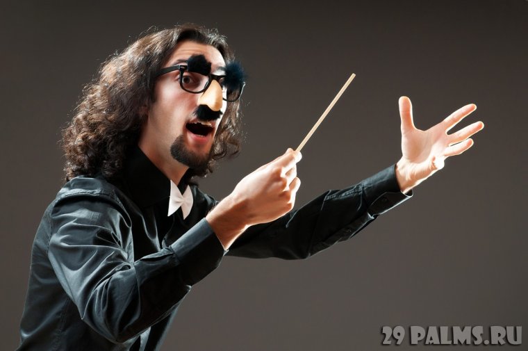 Дирижер смешные картинки