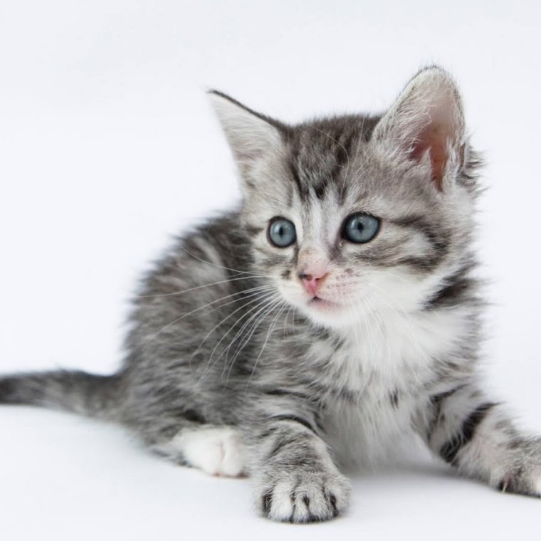 Смешная шестерка