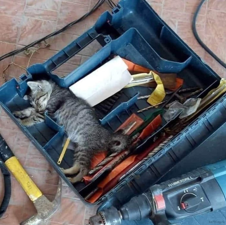 Смешные инструменты