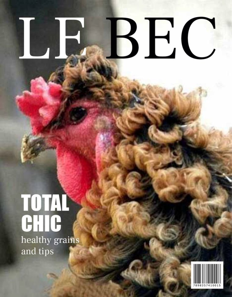 Смешные породы куриц